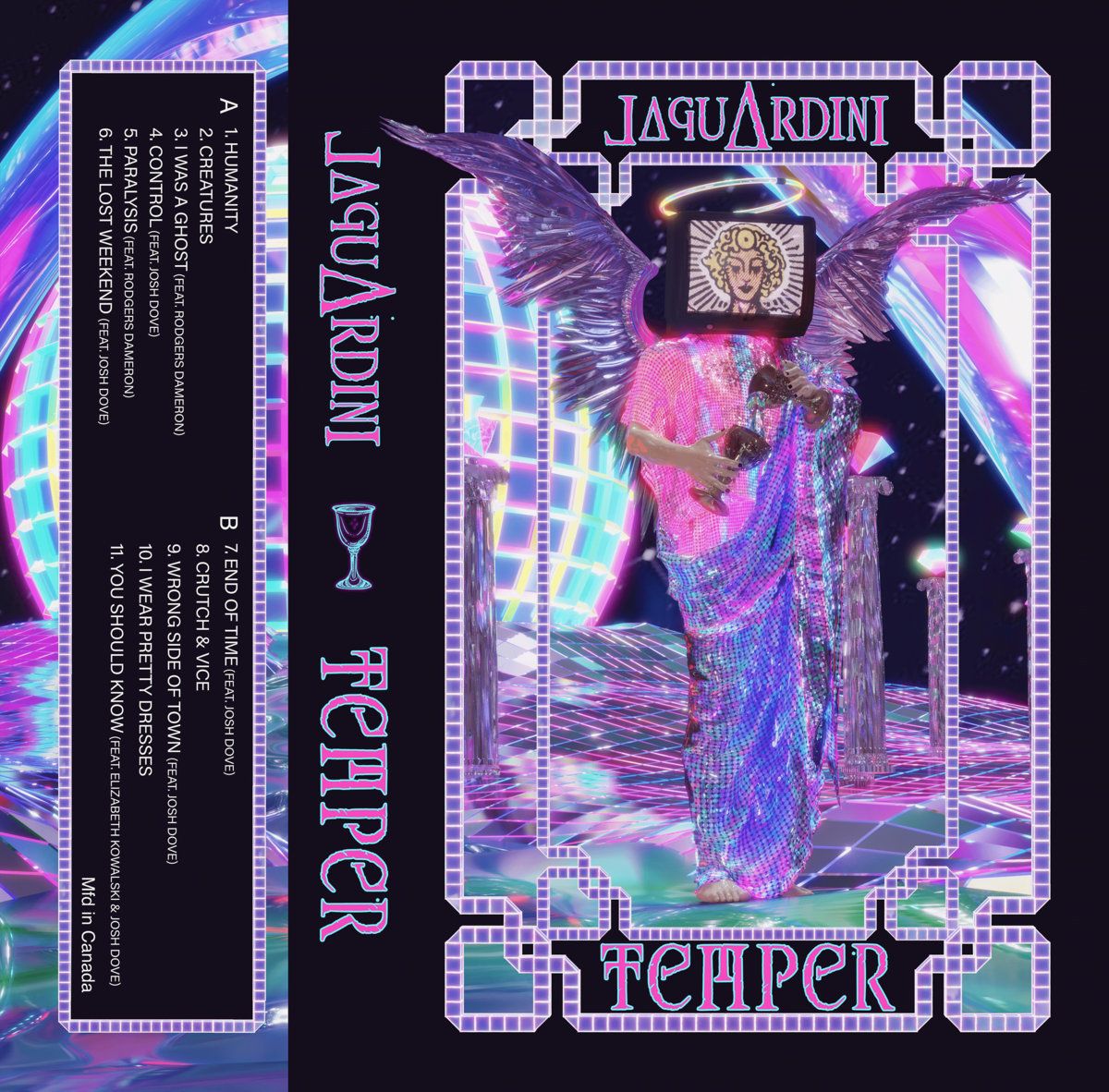 Package photo of the Temper Limited Edition Cassette